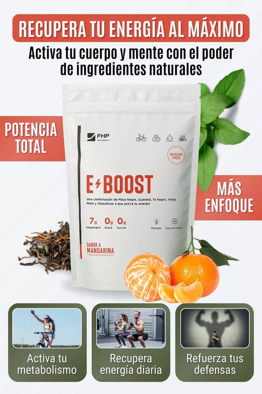 E-BOOST